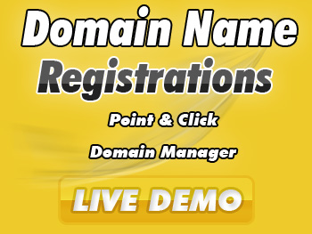 Budget domain registration service providers